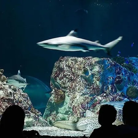 Апартаменты Apto 5 Minutos Centro Piscina Parking