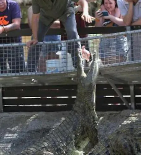 Apto 5 Minutos Centro Piscina Parking *