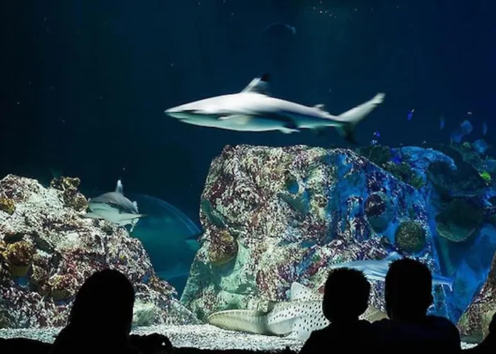 Apartamento Apto 5 Minutos Centro Piscina Parking