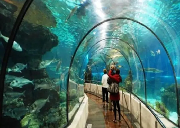 Lejlighed Apto 5 Minutos Centro Piscina Parking